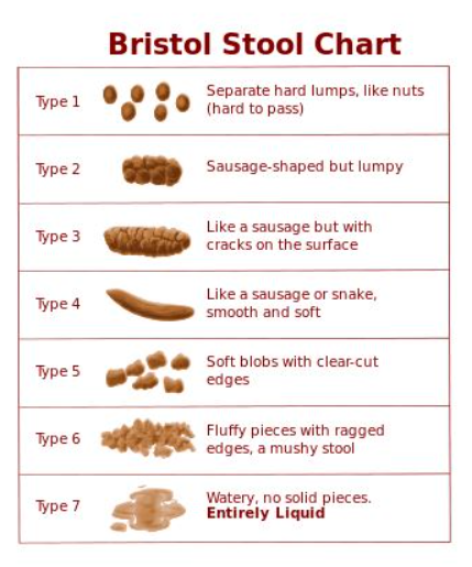 Bristol Stool Chart - what healthy poo should look like